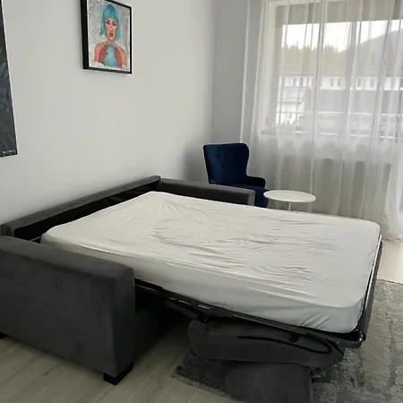 Apartment Lucky Number Sinaia